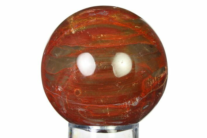 Colorful Petrified Wood (Araucaria) Sphere - Madagascar #317303